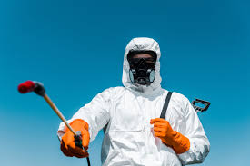 Best Termite Inspection and Treatment  in , RI